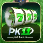 Pak2026 Game APK Download official Android gaming top platform 2026 with smooth gameplay and reward features.